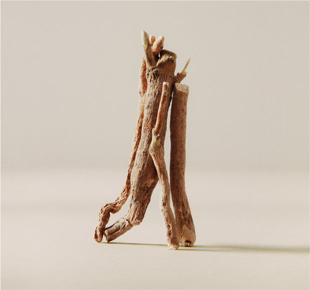 Health Benefits of Ashwagandha