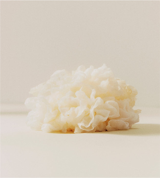 Animal Collagen vs Vegan Collagen