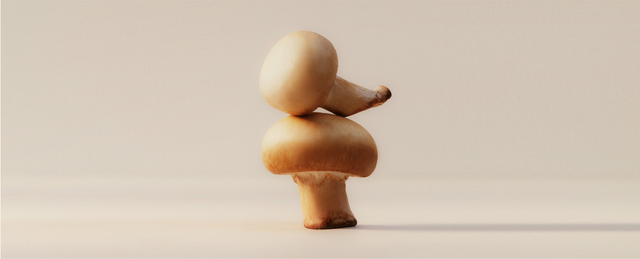 5 Best Mushrooms for Energy