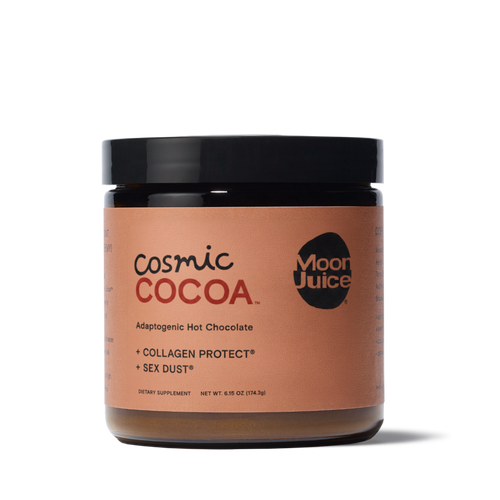 adaptogenic mushroom hot chocolate blend