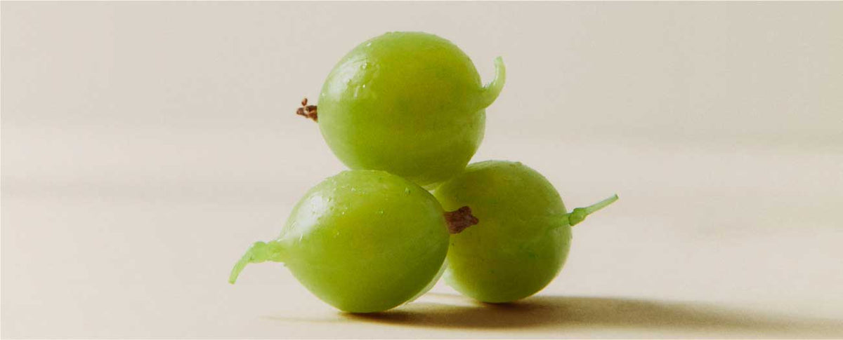 5 Benefits of Amla (Indian Gooseberry) Powder