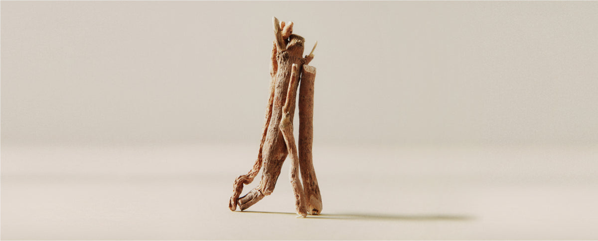 Health Benefits of Ashwagandha