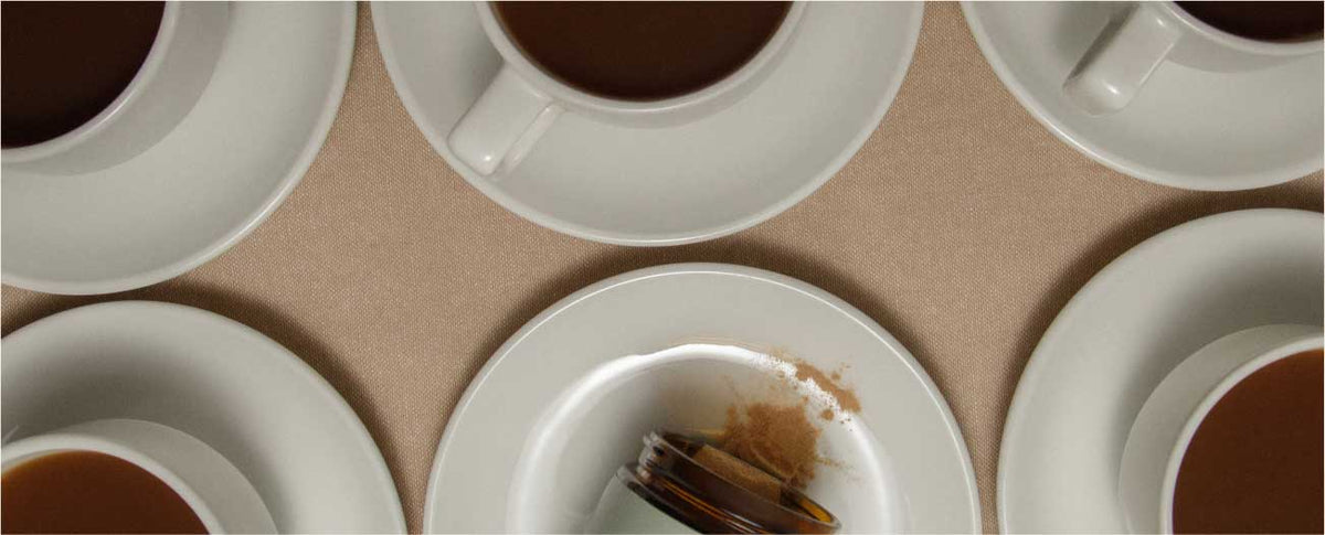 The Benefits of Lion's Mane for Brain Fog