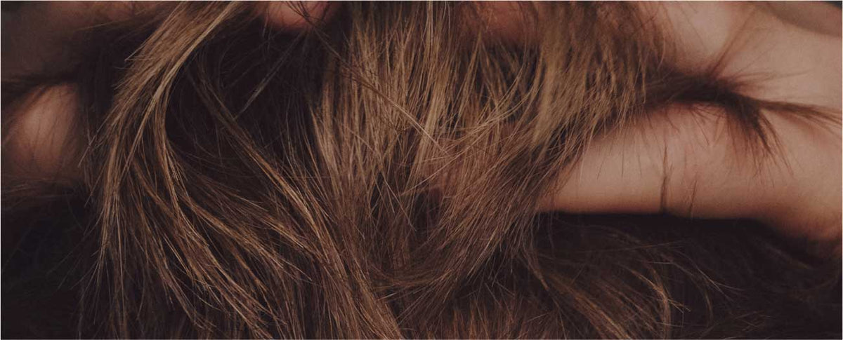 Horsetail Benefits for Hair