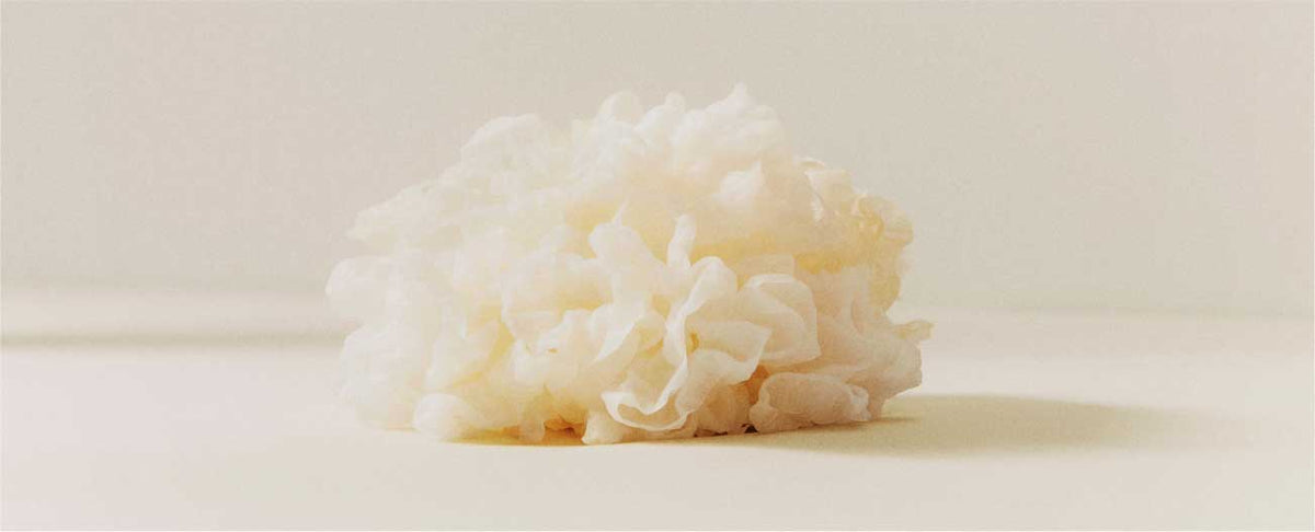 Animal Collagen vs Vegan Collagen