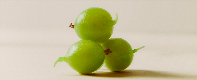 The Power of Amla for Skin