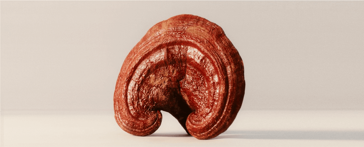 The Benefits of Reishi Mushrooms for Skin