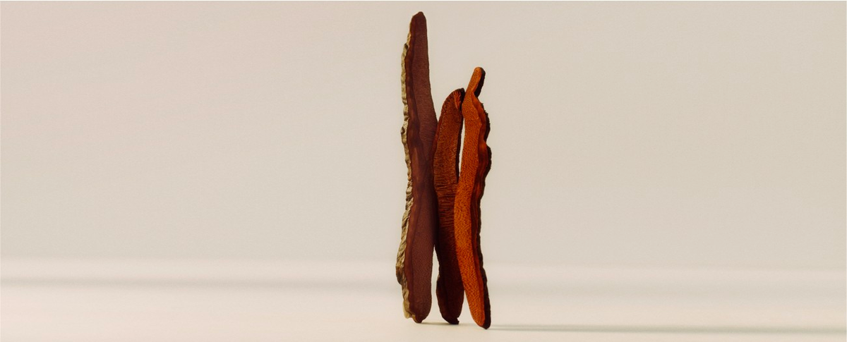 How to Make Reishi Mushroom Tea